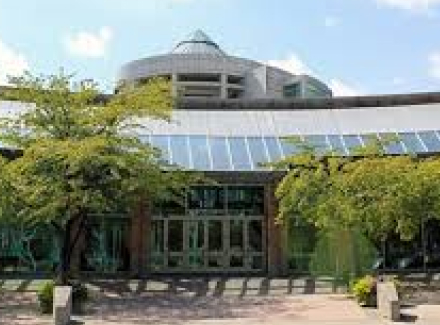 Project Title (Plumbing & Gas)